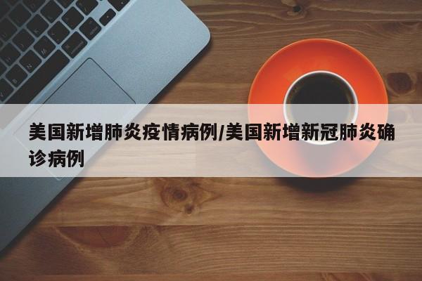 美国新增肺炎疫情病例／美国新增新冠肺炎确诊病例